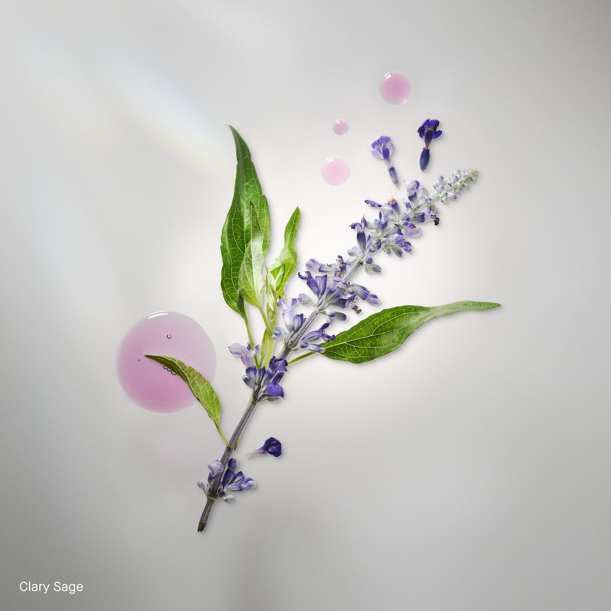 Bobbi Brown Extra Repair Intense Moisture Cream (50ml)